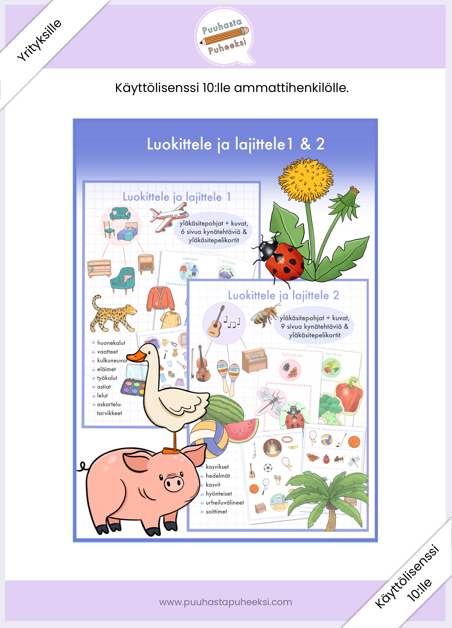 Luokittele ja lajittele 1 & 2 - käyttölisenssi 10:lle ammattihenkilölle