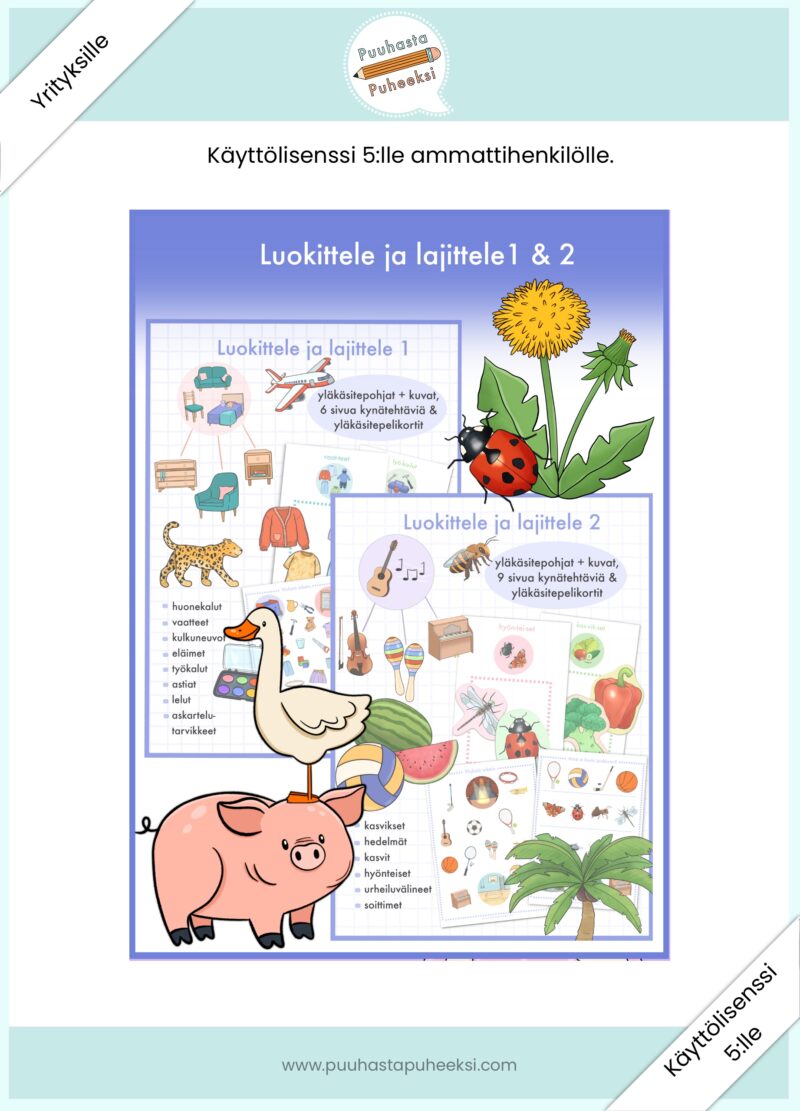 Luokittele ja lajittele 1 & 2 - käyttölisenssi 5:lle ammattihenkilölle