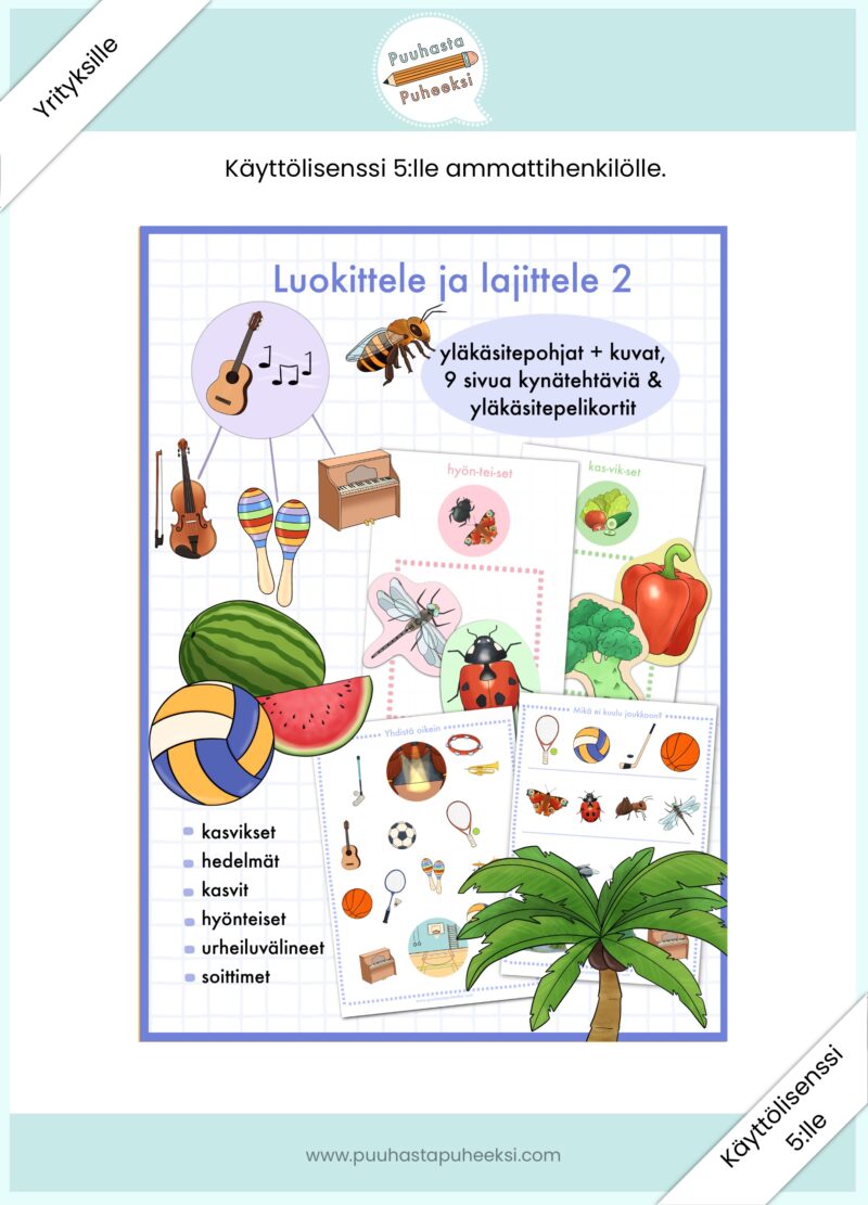 Luokittele ja lajittele 2 - käyttölisenssi 5:lle ammattihenkilölle
